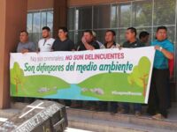 "Sie sind keine Verbrecher, sie sind Verteidiger der Umwelt" – Umweltschützer:innen fordern die Freilassung der acht Inhaftierten