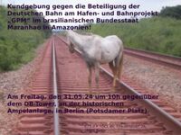 Bahnstrecke in Amazonien. Hier: Açailândia.